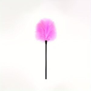 Flirty Feather Whip Stick